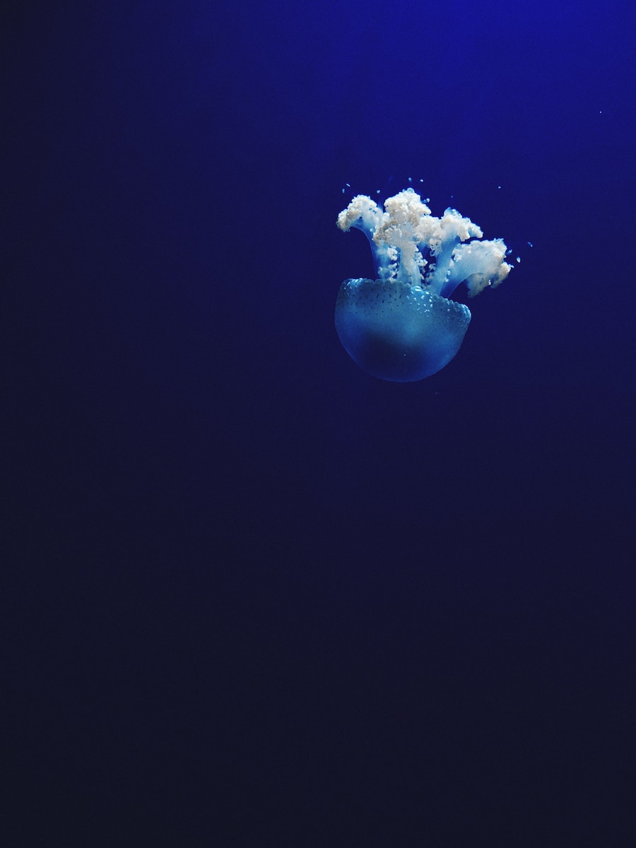 Warm Jelly in Sea